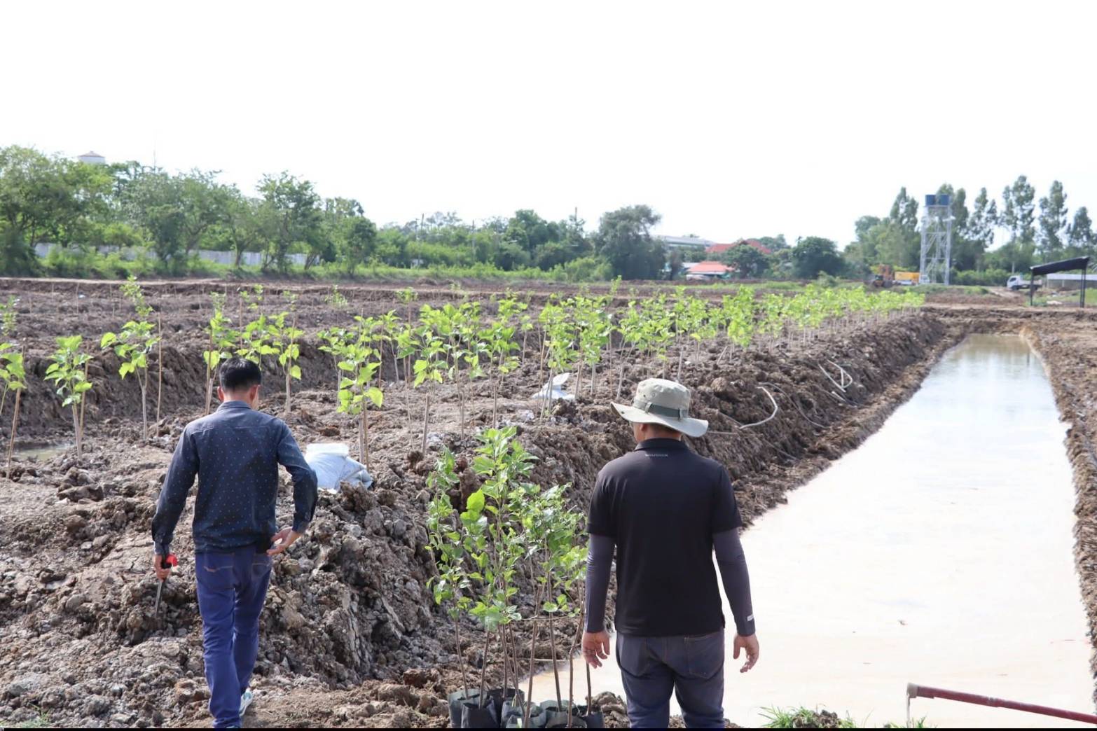 title - เลขาธิการสำนักงานการปฏิรูปที่ดินเพื่อเกษตรกรรม ลงพื้นที่ตรวจความพร้อมการจัดเตรียมงานกิจกรรมจิตอาสา กระทรวงเกษตรและสหกรณ์ เนื่องในโอกาสวันเฉลิมพระชนม์พรรษา สมเด็จพระนางเจ้าสุทิดา พัชรสุธาพิมลลักษณ พระบรมราชินี ในวันที่ 23 มิถุนายน 2569